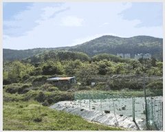  2025Ÿ21275 泲  Ͽ  543      (1)