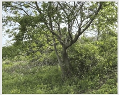  2025Ÿ21275 泲  Ͽ  543      (1)