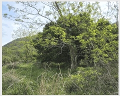  2025Ÿ21275 泲  Ͽ  543      (1)