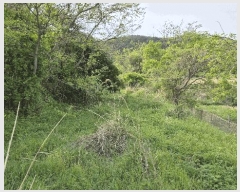  2025Ÿ21275 泲  Ͽ  543      (1)