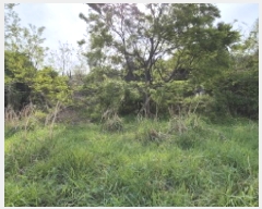  2025Ÿ21275 泲  Ͽ  543      (1)