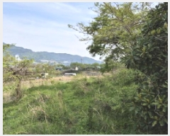  2025Ÿ21275 泲  Ͽ  543      (1)