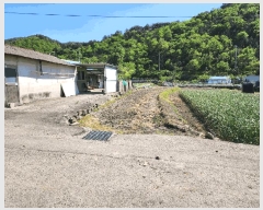  2025Ÿ21301 泲   긮 536      ()