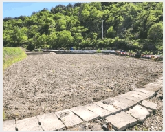  2025Ÿ21301 泲   긮 536      ()