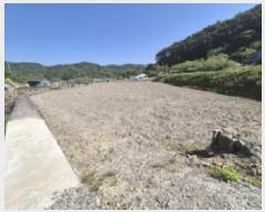  2025Ÿ21301 泲   긮 536      ()