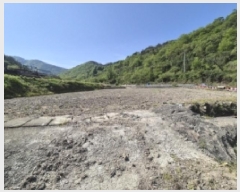  2025Ÿ21301 泲   긮 536      ()