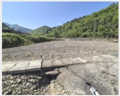  2025Ÿ21301 泲   긮 536      ()