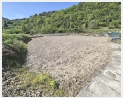  2025Ÿ21301 泲   긮 536      ()