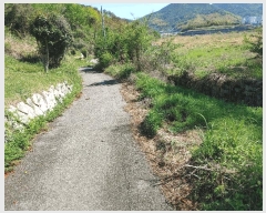  2025Ÿ21308 泲  û û 82-1      (Ӿ)