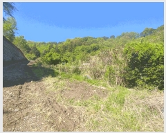  2025Ÿ21308 泲  û û 82-1      (Ӿ)