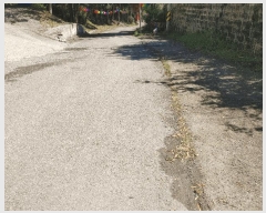  2025Ÿ21308 泲  û û 82-1      (Ӿ)