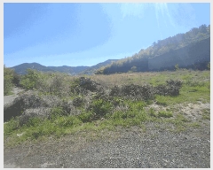  2025Ÿ21308 泲  û û 82-1      (Ӿ)