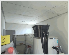  2025Ÿ21317 泲  θ е 603-14      ٰð