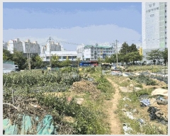  2025Ÿ��21324  ����