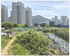  2025Ÿ��21324  ����