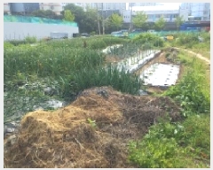  2025Ÿ��21324  ����