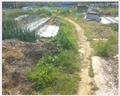  2025Ÿ��21324  ����