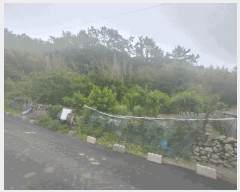  2025Ÿ21423 泲    9      (1)