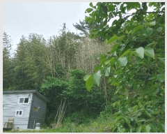  2025Ÿ21423 泲    7      ()