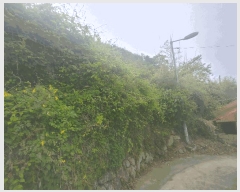  2025Ÿ21423 泲    7      ()