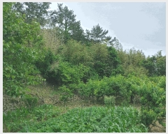  2025Ÿ21423 泲    7      ()