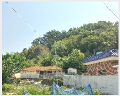  2025Ÿ21423 泲    7      ()