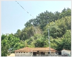  2025Ÿ21423 泲    7      ()