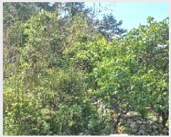  2025Ÿ21423 泲    7      ()