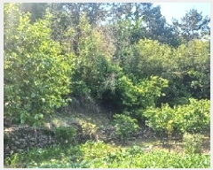  2025Ÿ21423 泲    7      ()