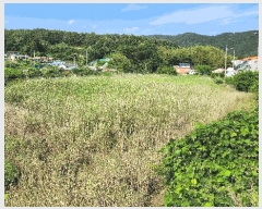  2025Ÿ��21493  �Ӿ߰��