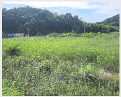  2025Ÿ��21493  �Ӿ߰��