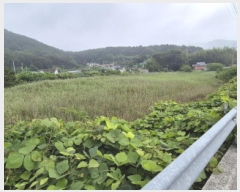  2025Ÿ��21493  �Ӿ߰��