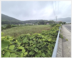  2025Ÿ��21493  �Ӿ߰��