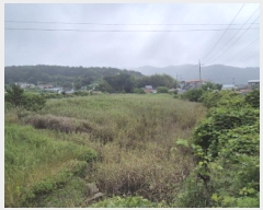  2025Ÿ��21493  �Ӿ߰��