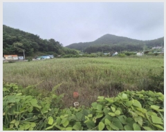  2025Ÿ��21493  �Ӿ߰��