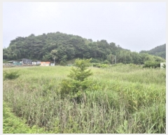  2025Ÿ��21493  �Ӿ߰��