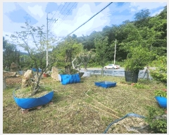  2025Ÿ��21525  �����