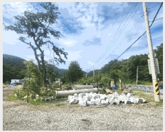  2025Ÿ��21525  �����