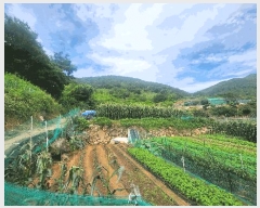  2025Ÿ��21525  �����