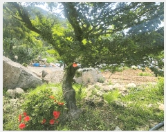  2025Ÿ��21525  �����