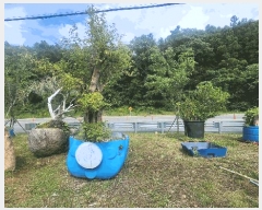  2025Ÿ��21525  �����