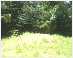  2025Ÿ��21567 �泲 ������ ������ ��94-2       ����(�Ӿ�)���