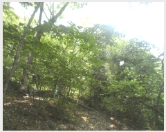  2025Ÿ��21567 �泲 ������ ������ ��94-2       ����(�Ӿ�)���