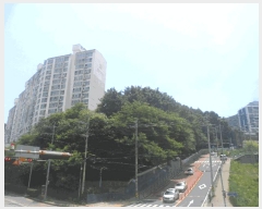  2025Ÿ��21567 �泲 ������ ������ ��94-2       ����(�Ӿ�)���