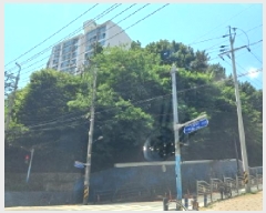  2025Ÿ��21567 �泲 ������ ������ ��94-2       ����(�Ӿ�)���