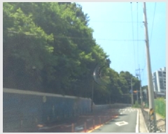  2025Ÿ��21567 �泲 ������ ������ ��94-2       ����(�Ӿ�)���