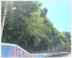  2025Ÿ��21567 �泲 ������ ������ ��94-2       ����(�Ӿ�)���