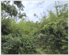  2025Ÿ��21630 �泲 �뿵�� �볲�� ���� 182      ����(��1)���