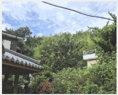  2025Ÿ��21630 �泲 �뿵�� �볲�� ���� 182      ����(��1)���