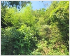  2025Ÿ��21630 �泲 �뿵�� �볲�� ���� 182      ����(��1)���